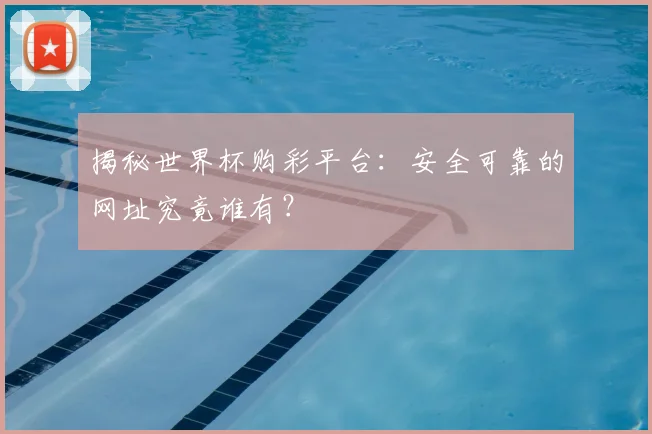 揭秘世界杯购彩平台：安全可靠的网址究竟谁有？