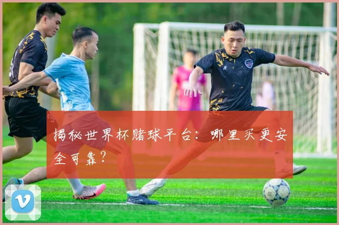揭秘世界杯赌球平台：哪里买更安全可靠？