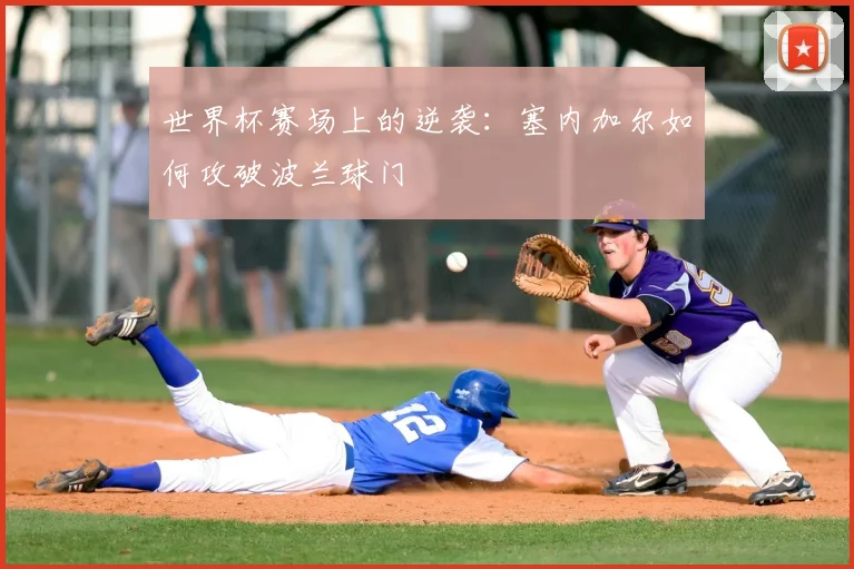 世界杯赛场上的逆袭：塞内加尔如何攻破波兰球门