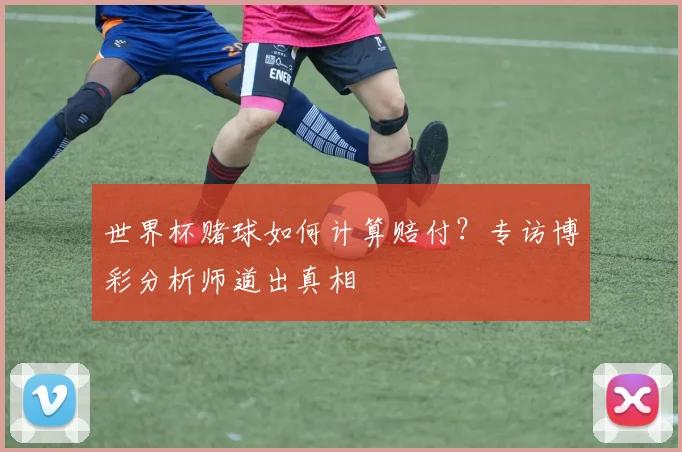 世界杯赌球如何计算赔付？专访博彩分析师道出真相