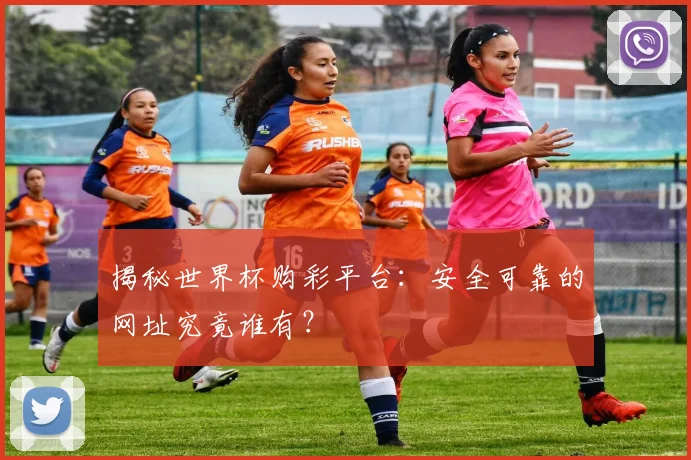 揭秘世界杯购彩平台：安全可靠的网址究竟谁有？