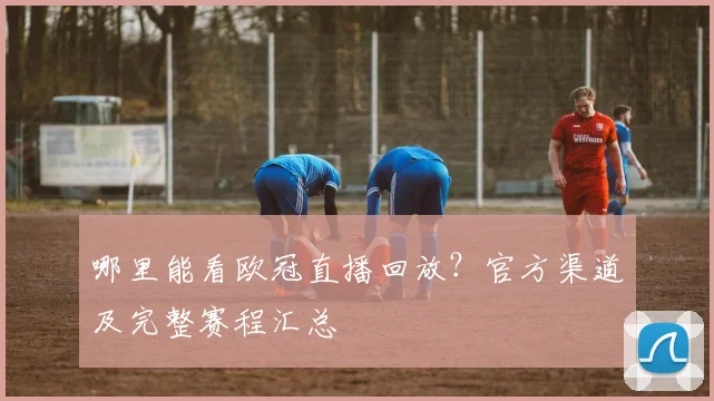 哪里能看欧冠直播回放?官方渠道及完整赛程汇总