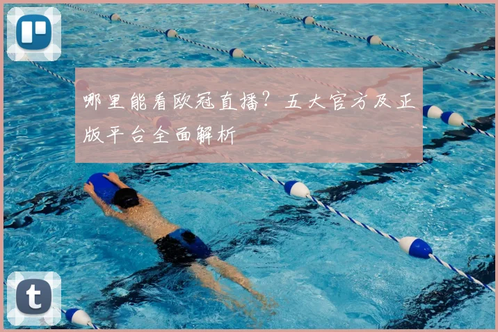 哪里能看欧冠直播？五大官方及正版平台全面解析