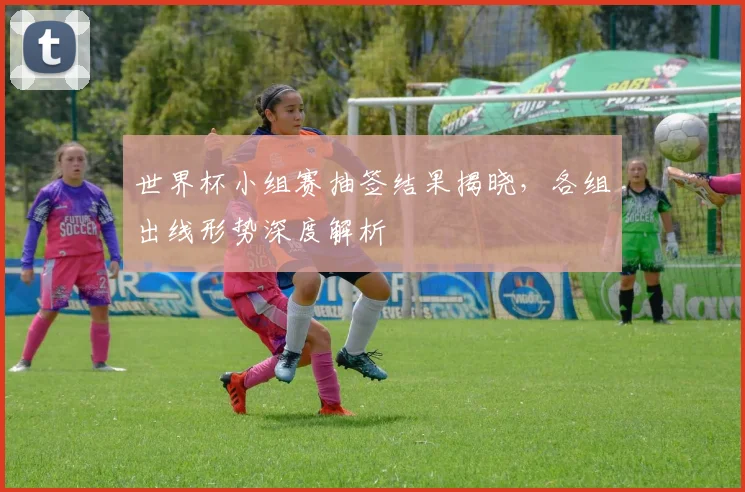 世界杯小组赛抽签结果揭晓，各组出线形势深度解析