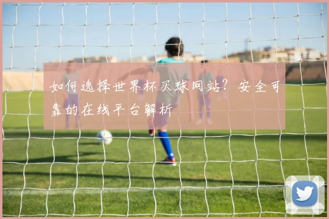 如何选择世界杯买球网站？安全可靠的在线平台解析